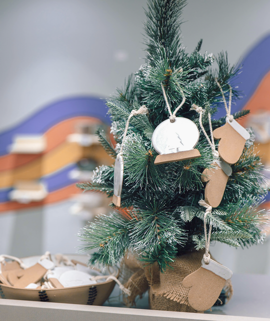 2025 Edition Ornament - Mitten