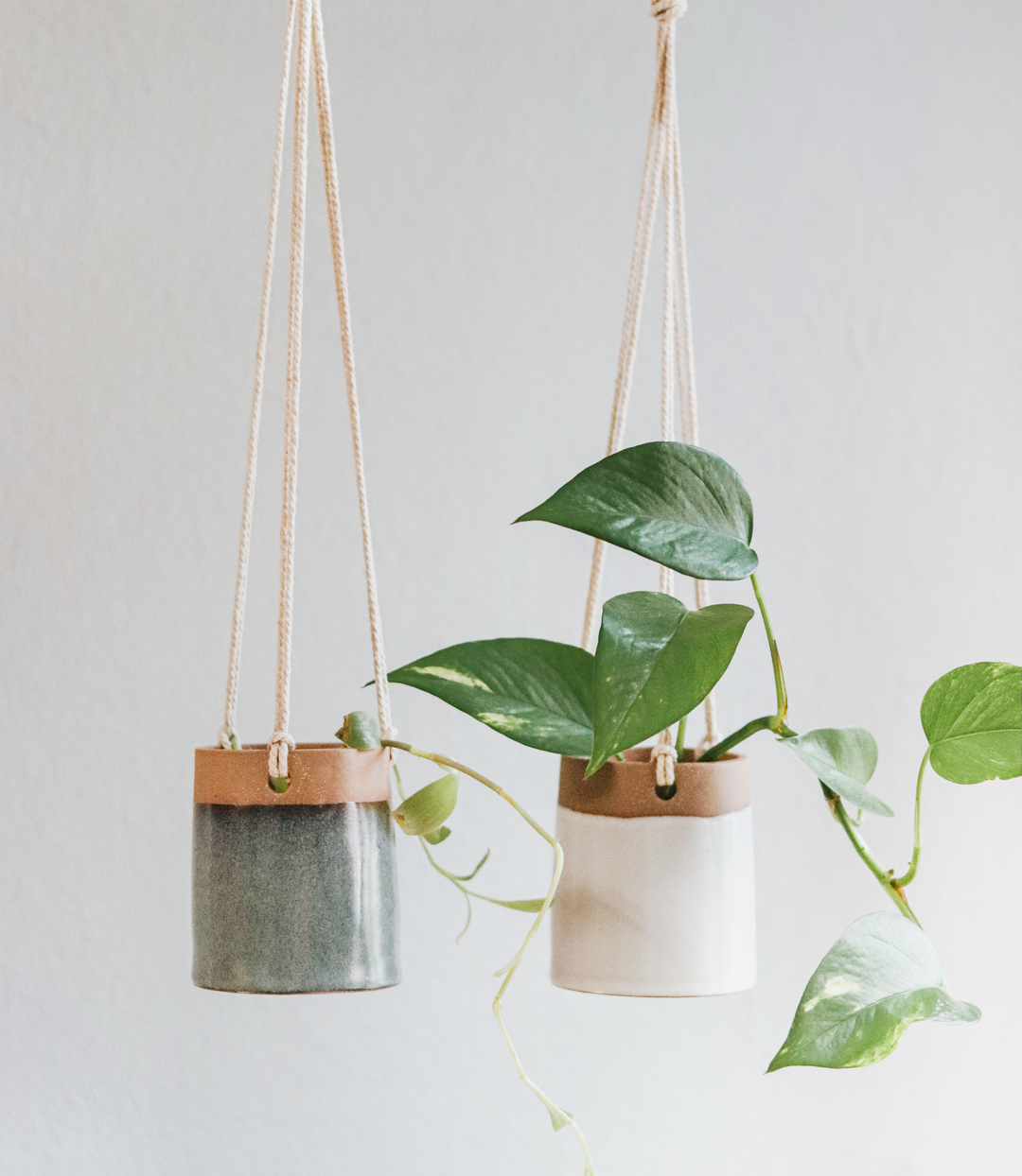 Hanging Planter - Classic White