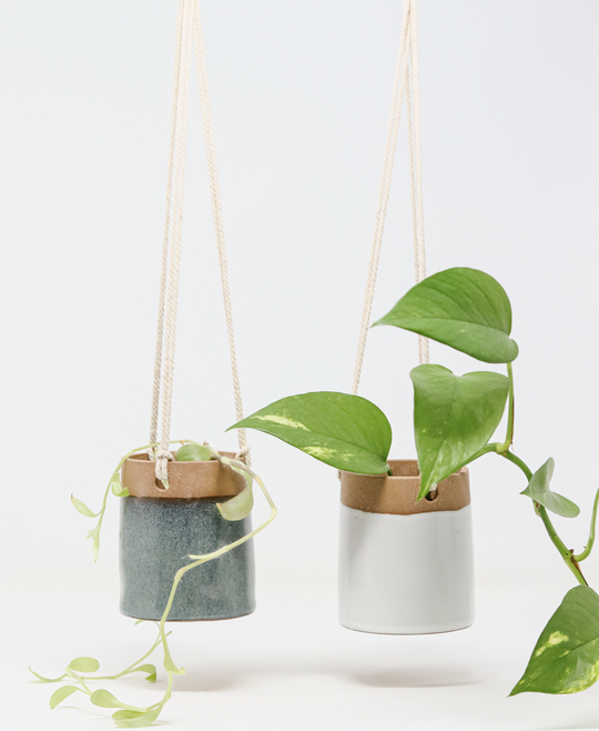 Hanging Planter - Classic White