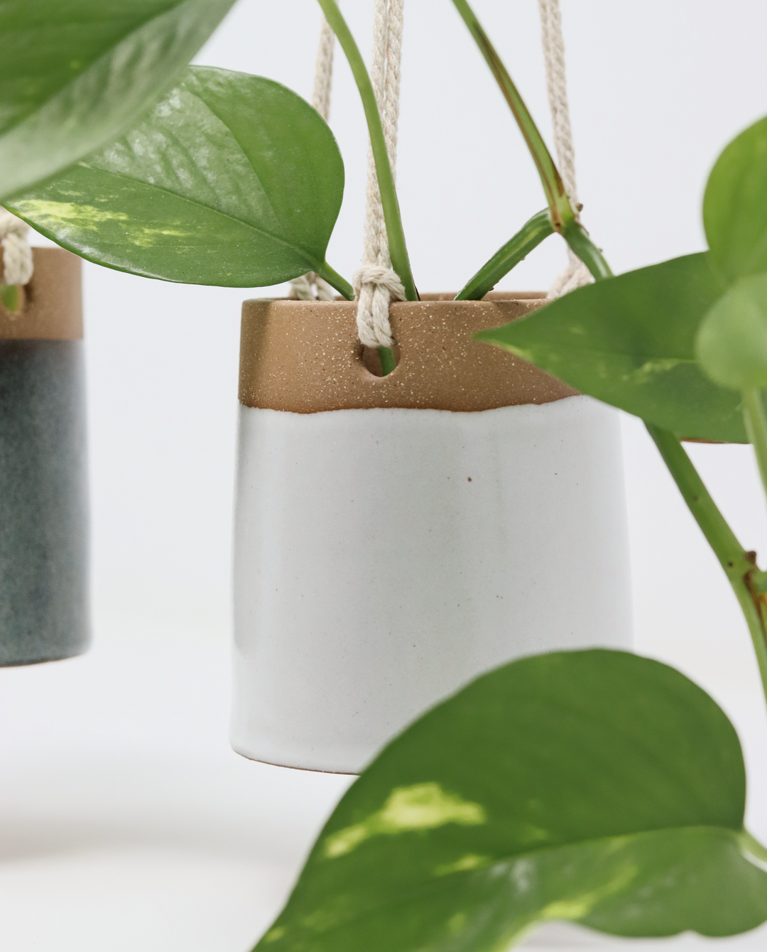 hanging plant pot large Hanging Planter