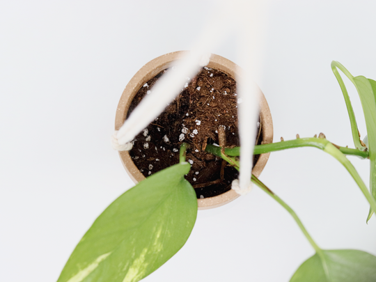 Hanging Planter - Classic White