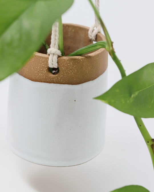 Hanging Planter - Classic White