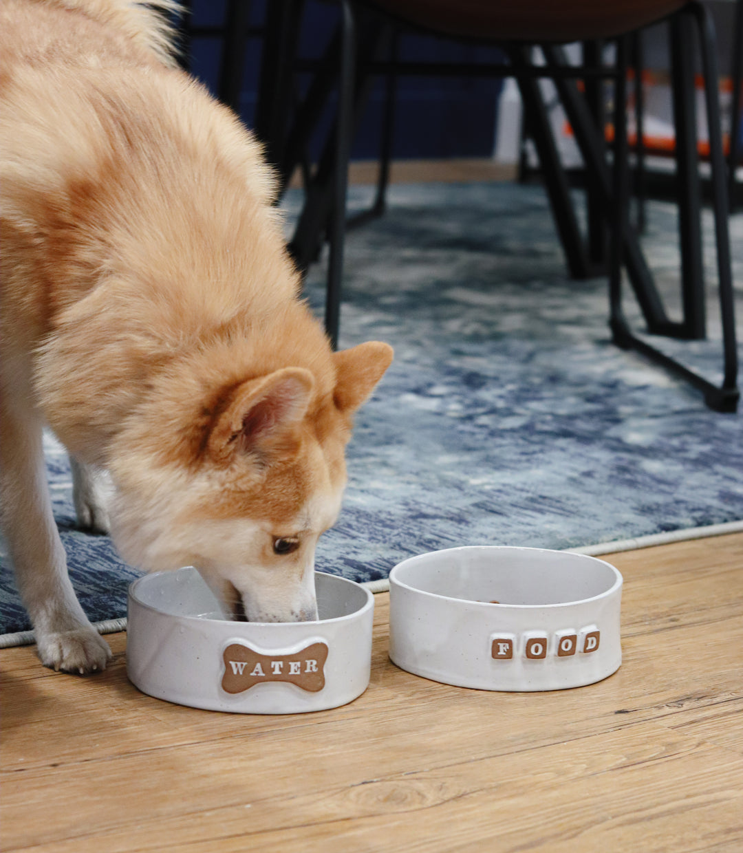 Dog Water Bowl - Classic White