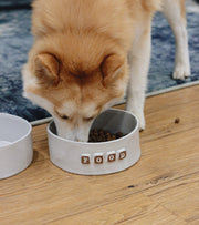 Dog Food Bowl - Classic White